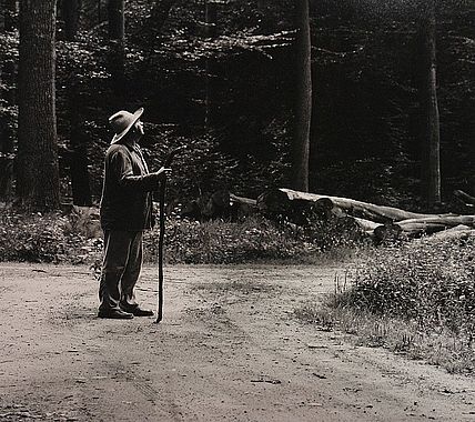 Horst Janssen im Wald. Foto: Karin Elmers