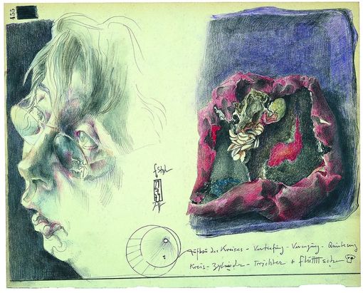 Horst Janssen, Self with Paprika, 1979, coloured pencil © VG Bild-Kunst, Bonn 2025