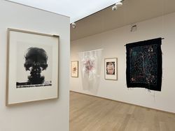 Andrea Ziegler, What Is the Truth..., Ausstellungsansicht. Foto: Horst-Janssen-Museum