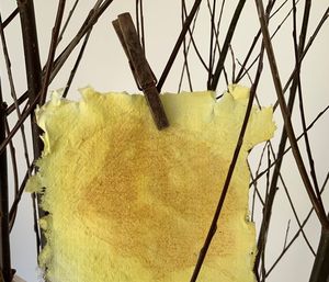 In der Ausstellung "Natur schöpfen" wurde mit selbst gemachten Farben auf selbst geschöpftem Papier gemalt. Foto: Insa Winkler