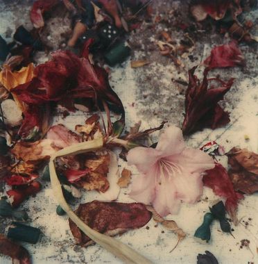 Horst Janssen, o.T. (Blütenblätter im Schnee), 1981, Polaroid SX70 © VG Bild-Kunst, Bonn 2023