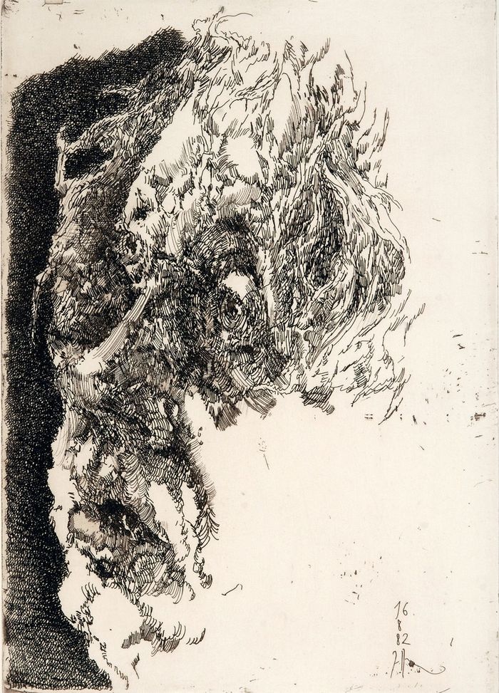 Horst Janssen, Selbst elegisch, 1982, Radierung © VG Bild-Kunst Bonn, 2025