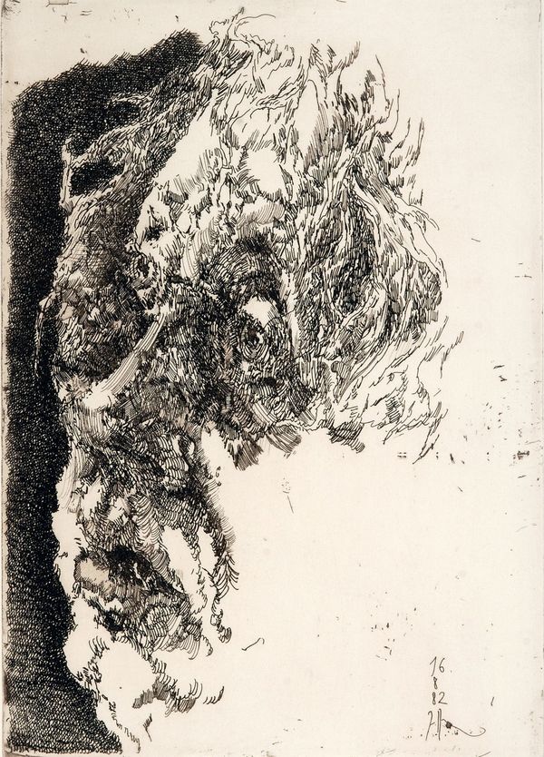Horst Janssen, Selbst elegisch, 1982, Radierung © VG Bild-Kunst Bonn, 2025