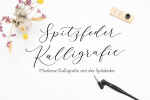 Spitzfeder-Kalligrafie © Martina Johanna Janssen