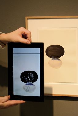 Ausstellung "Move the Line", Foto: Andrey Gradetchliev
