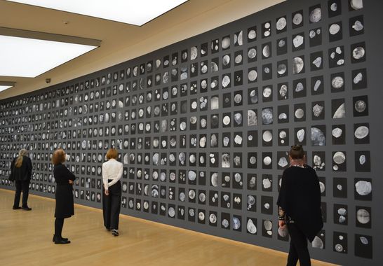 Nanne Meyer, Klumpen und Globen, Ausstellungsansicht, Foto: Horst-Janssen-Museum