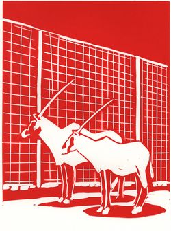 Christoph Niemann, Oryx, ZOO-Serie, Linolschnitt © Christoph Niemann 2025
