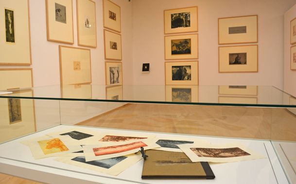 Ausstellungsansicht, Best of der vom Verein angekauften Janssen-Werke. Foto: Horst-Janssen-Museum