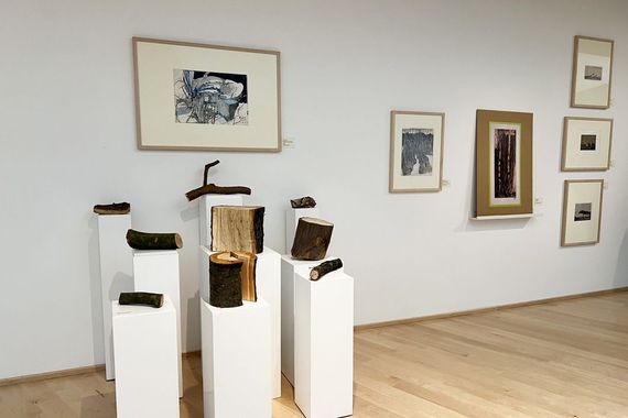 Blick in die Ausstellung "Janssen und das Holz". Foto: Horst-Janssen-Museum