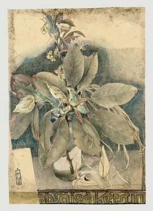 Kerstin, © Horst Janssen Museum