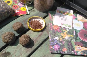 Samenkugeln herstellen. Foto: Kristin Laurenz