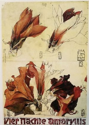 Vier Nächte Amaryllis © Horst-Janssen-Museum