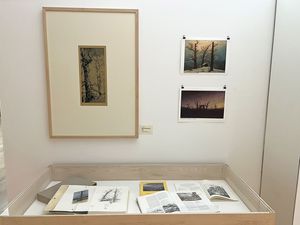 Vitrine und Bilder der Ausstellung "Janssen und das Holz". Foto: Horst-Janssen-Museum