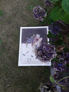 Janssen-Blumenstillleben drapiert neben einer Hortensie. Foto: Rüdiger M.