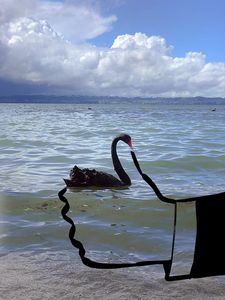 Christoph Niemann, Like, 2020, C-Print © Christoph Niemann, 2025