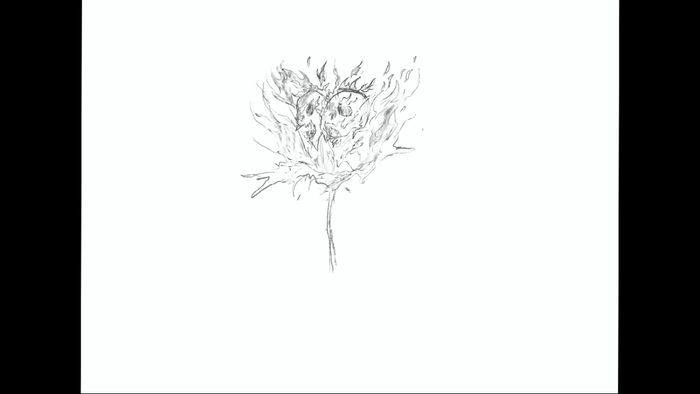 Bedirhan Arslan, burn for it – dafür brennen (00:08)